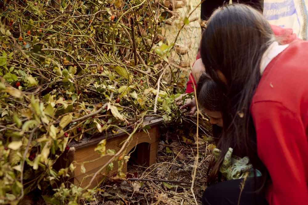 Dandara donates hedgehog hotels to Aberdeen school
