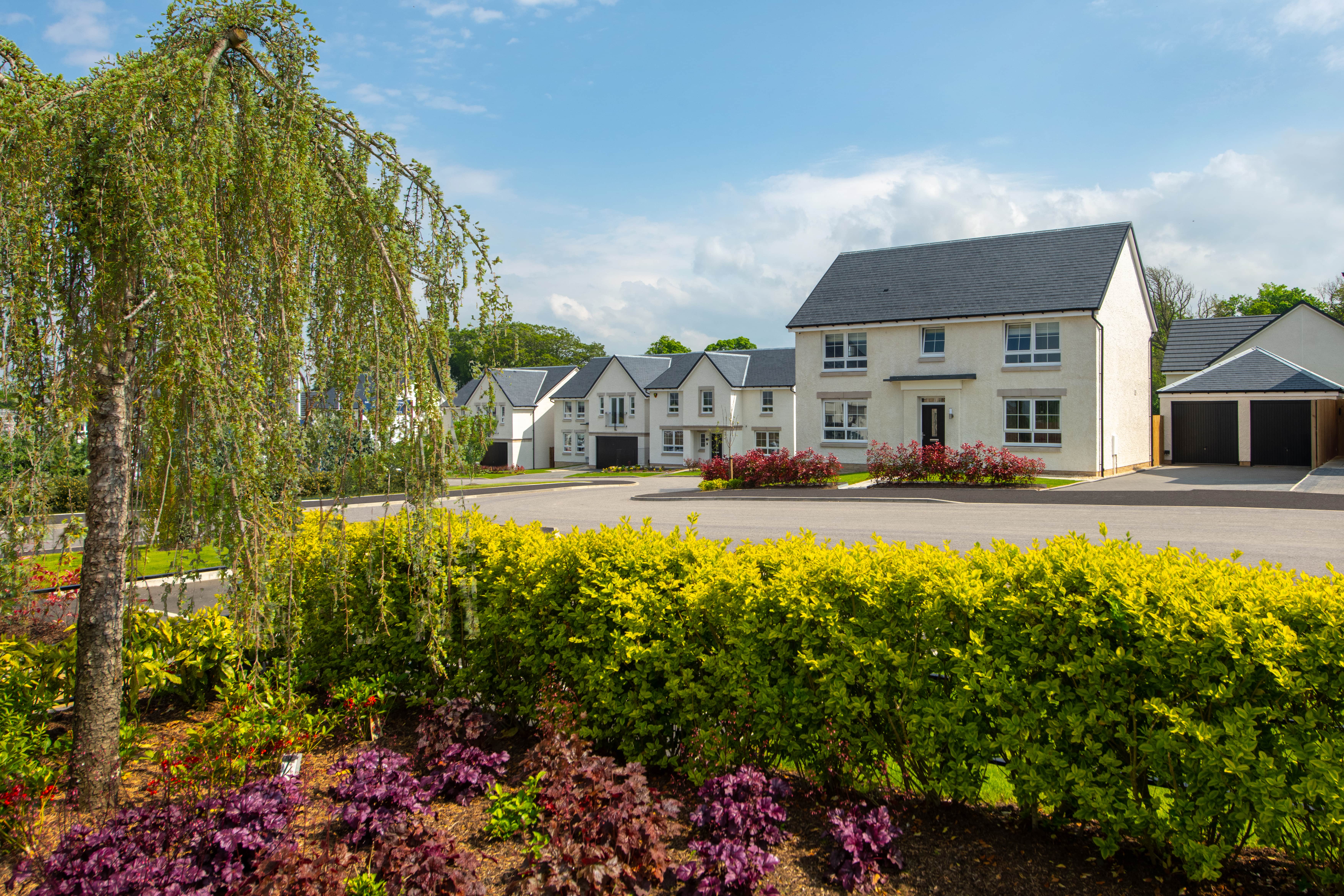 David Wilson Homes launches wildlife photography competition