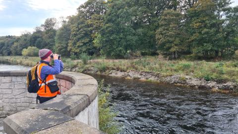 Consultants appointed for Brechin flood protection uplift design