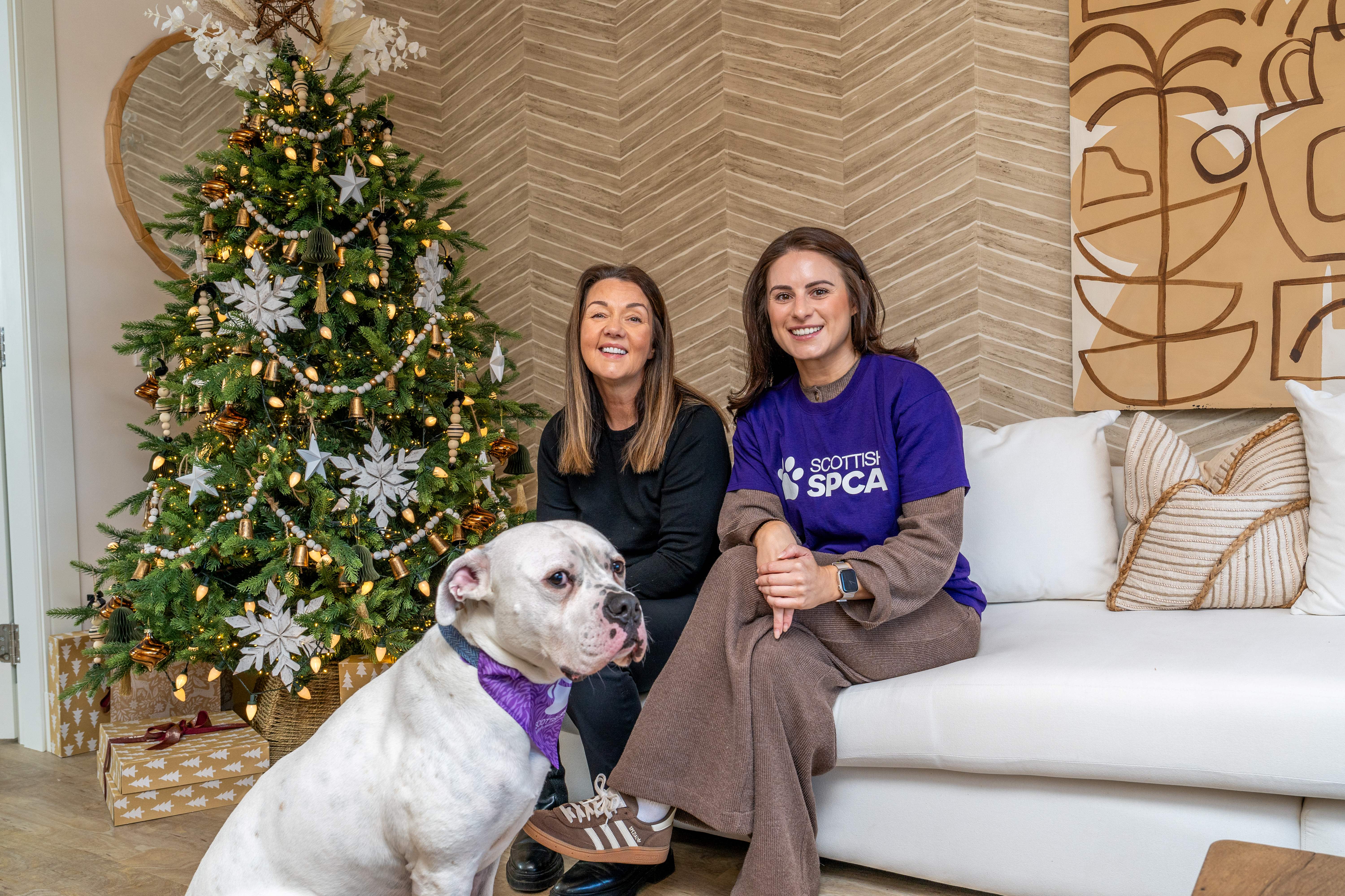 Robertson Homes plays Santa Paws to support Scottish SPCA