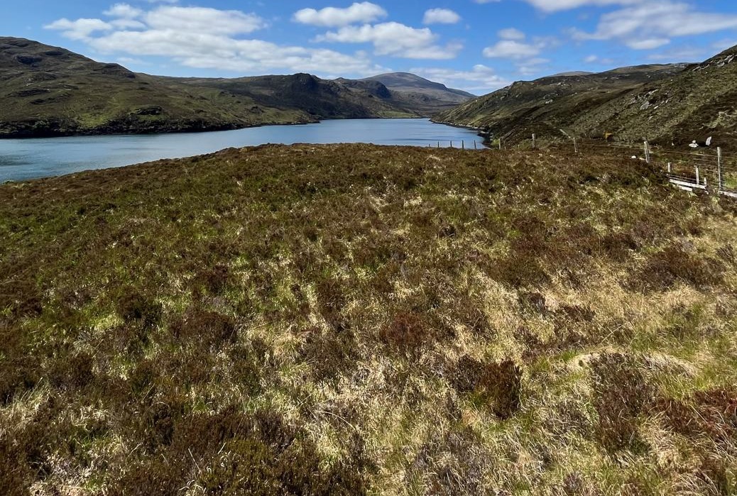 Green light for major Isle of Lewis wind farm
