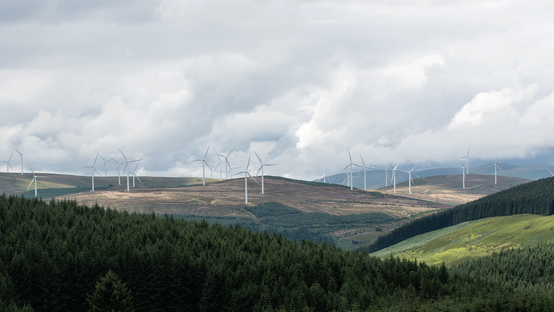 Natural Power secures new renewable energy contracts