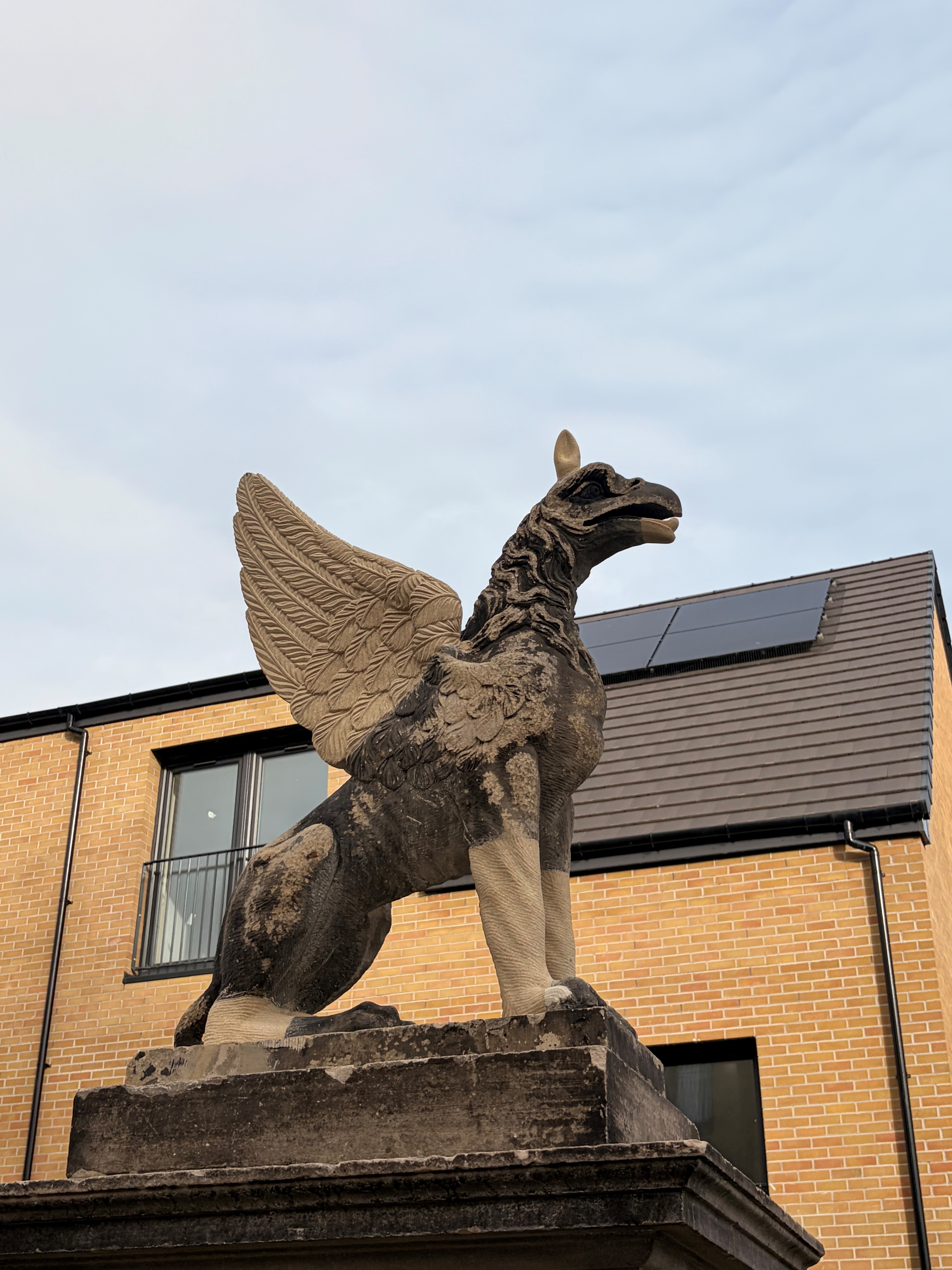And finally... Griffins fly to new home in north Edinburgh