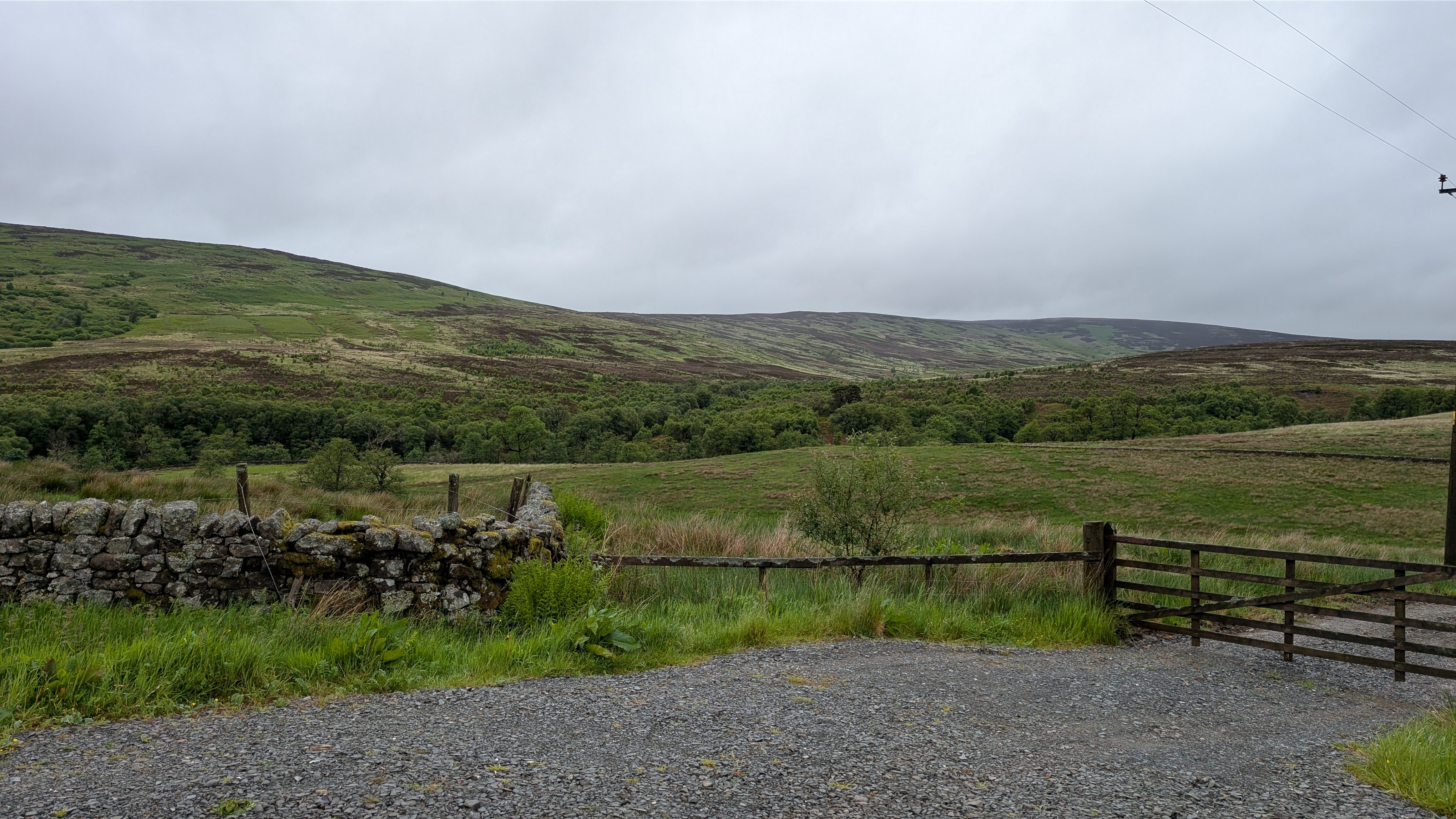 Caution replaces speculation in Scotland’s rural land market