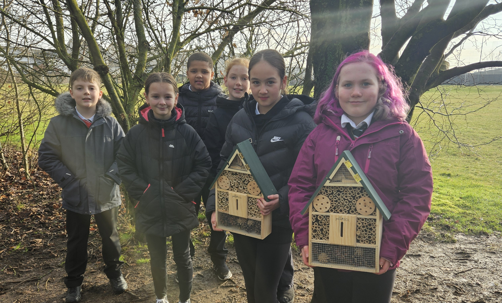 And finally... bug 'n breakfast