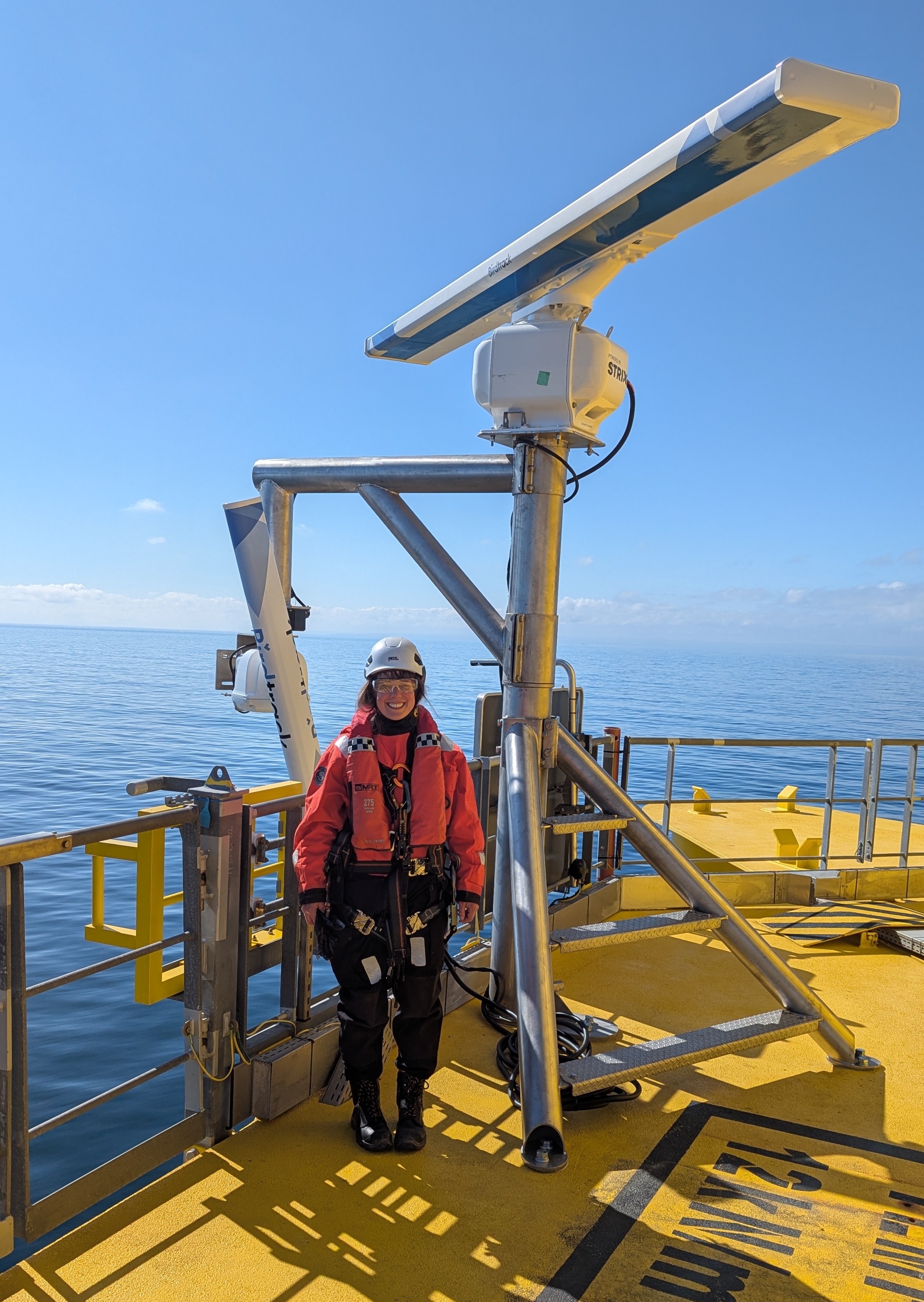 Scotland’s largest seabird monitoring studies launched at offshore wind farm