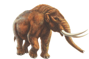 Box image