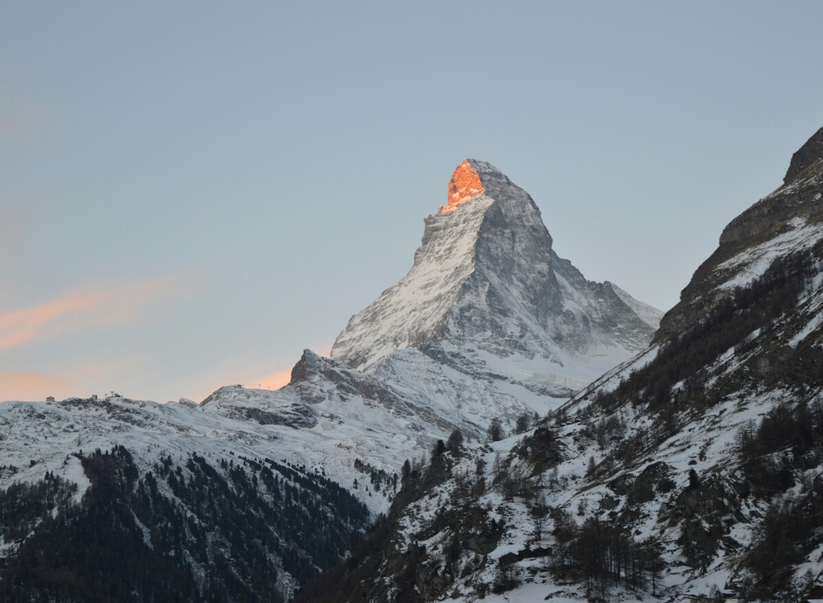 Featured article image