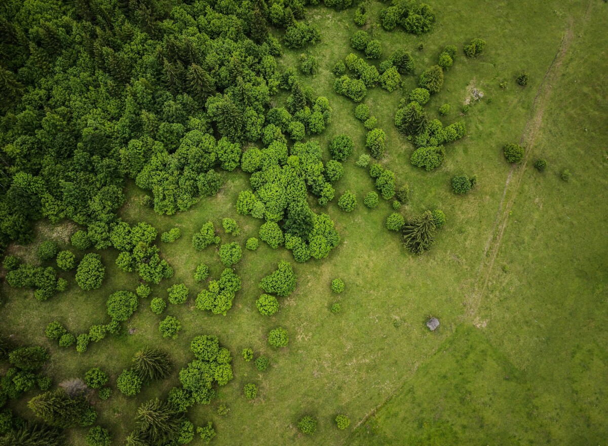 Featured article image