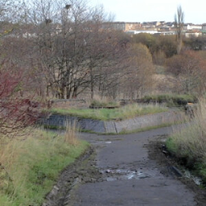 Council backs investment partnership seeking to build 1,000 homes in Possilpark