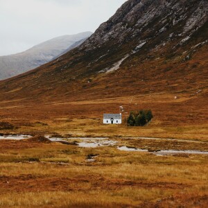 Scottish National Investment Bank urged to review £50m deal with major landowner