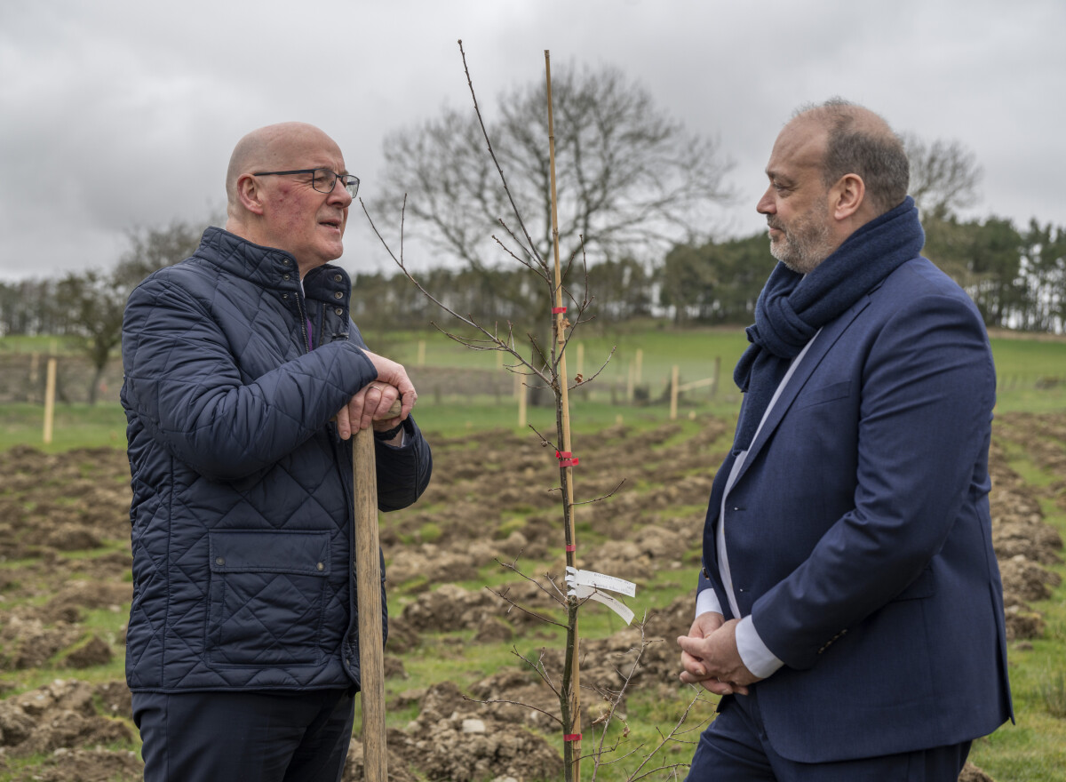 Featured article image