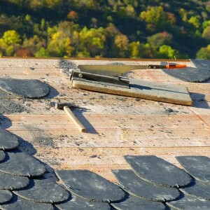 And finally… ban on a hot tin roof - Vimarsana News