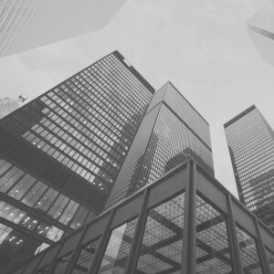 Senior appointments signal diverse and exciting future for Akela Group - Vimarsana News