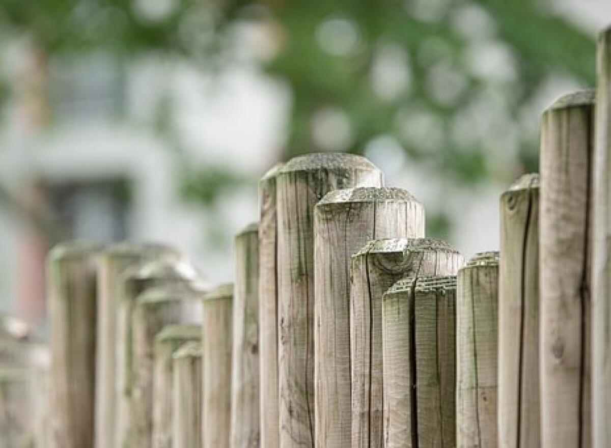 Featured article image