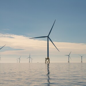 Scotland’s largest seabird monitoring studies launched at offshore wind farm