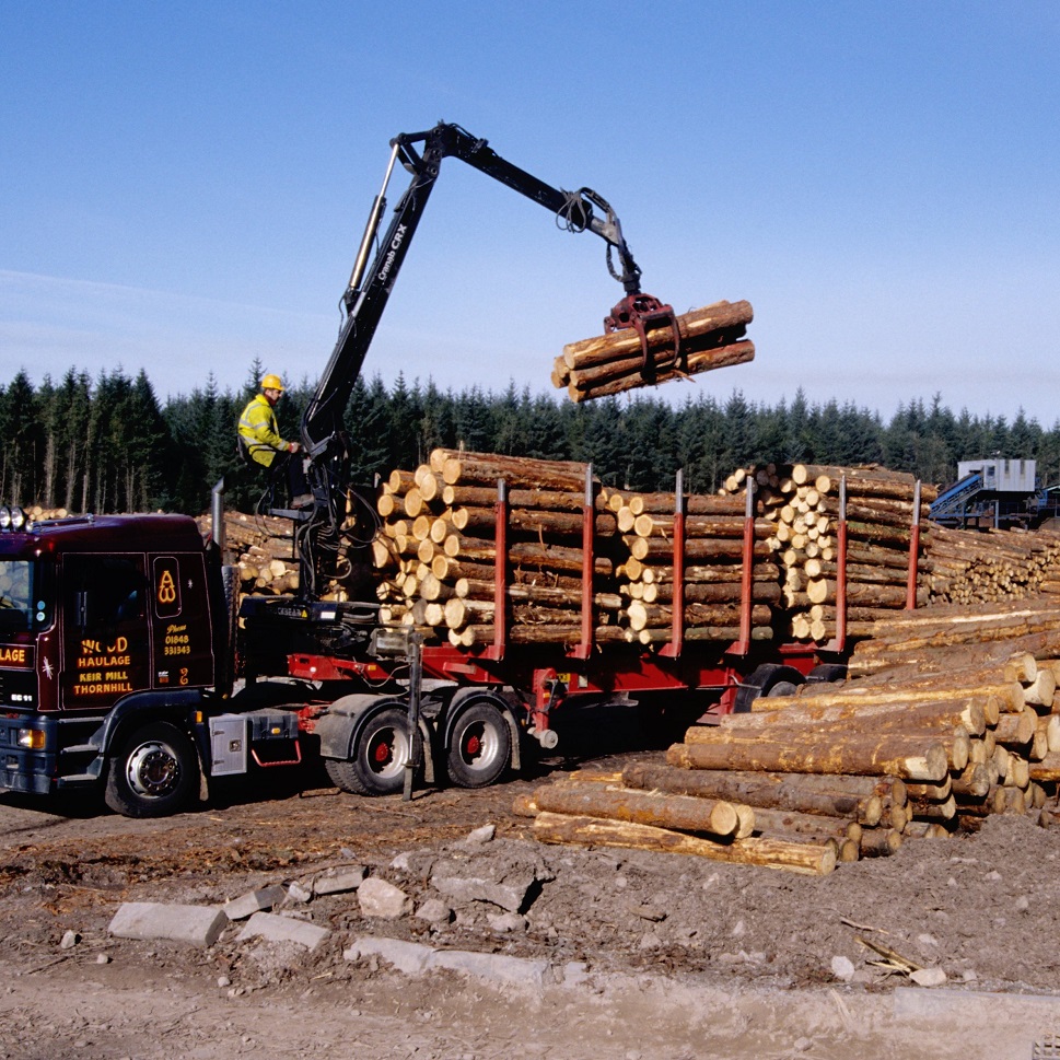 Scotland must seize opportunity to rapidly increase planting of productive forestry to offset impact of future supply shocks