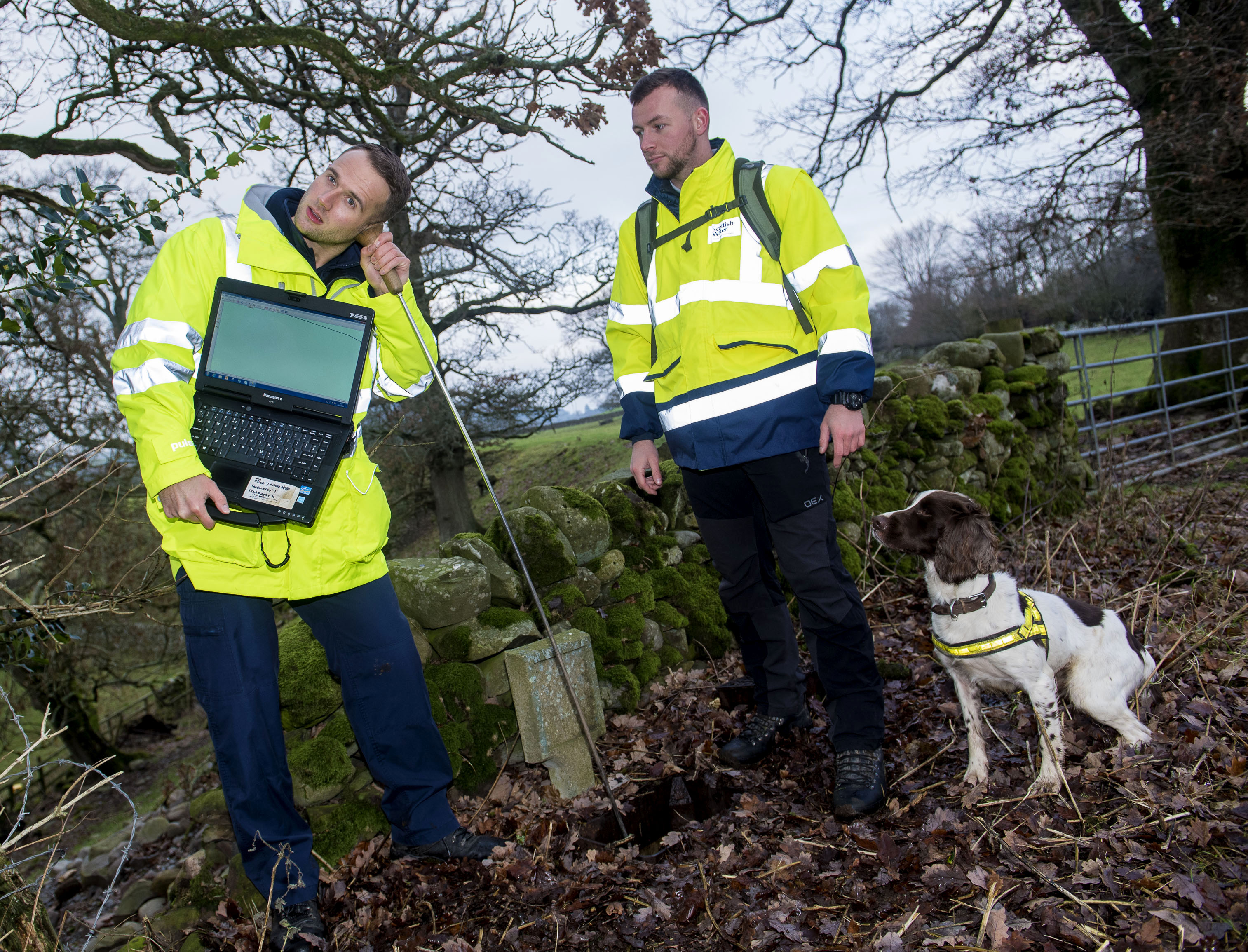 And finally... Sniffer dogs on the scent of leaking water mains