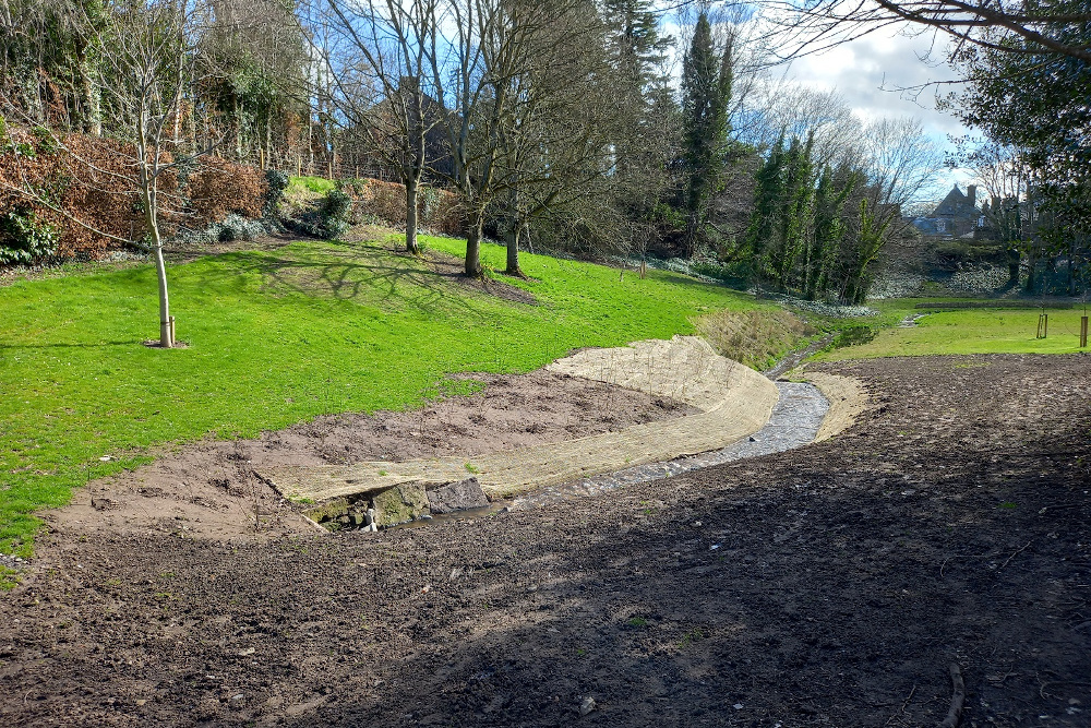 Brechin Den works funded through Nature Restoration Fund completed