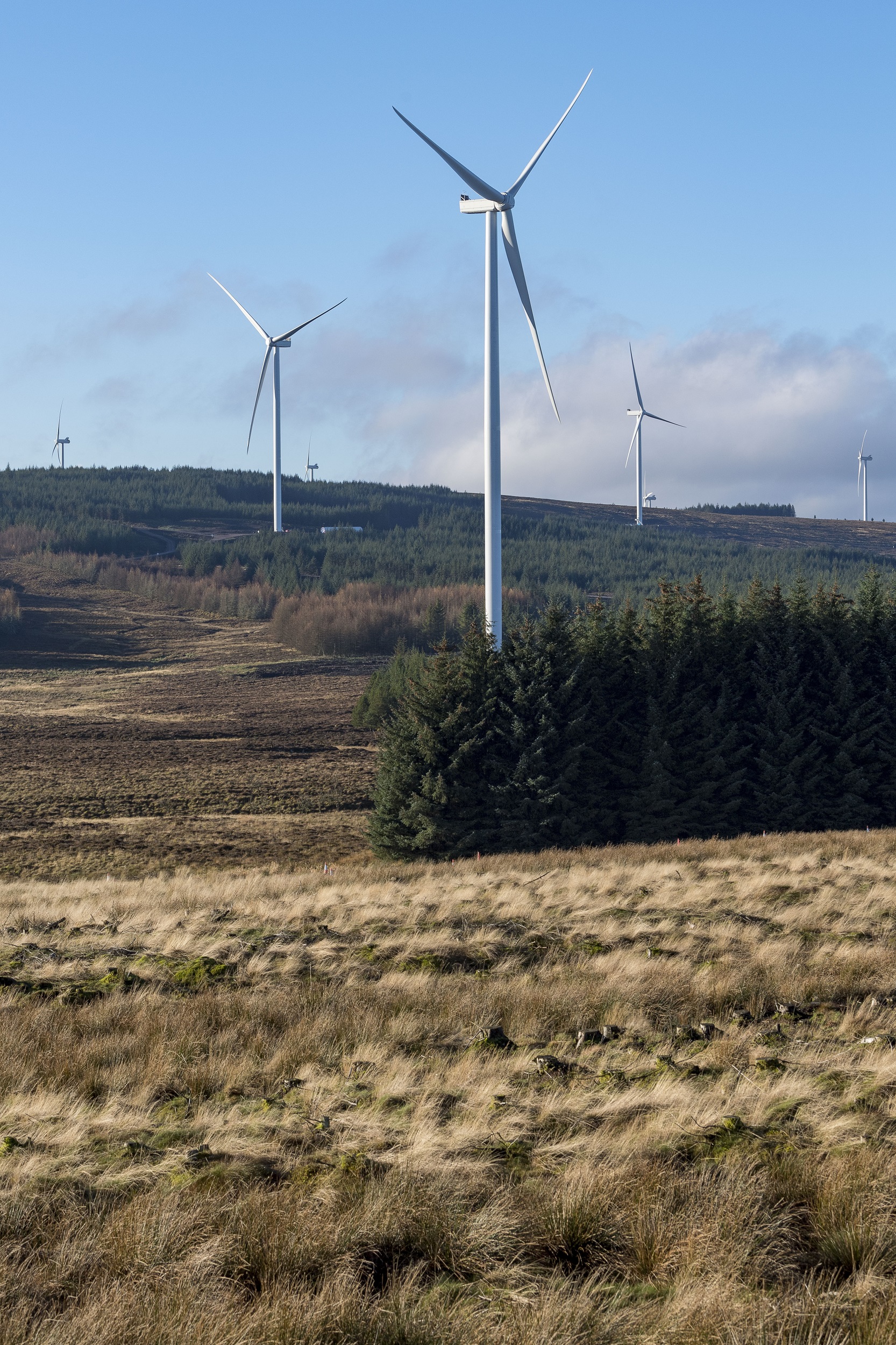First Minister launches UK's tallest wind turbine
