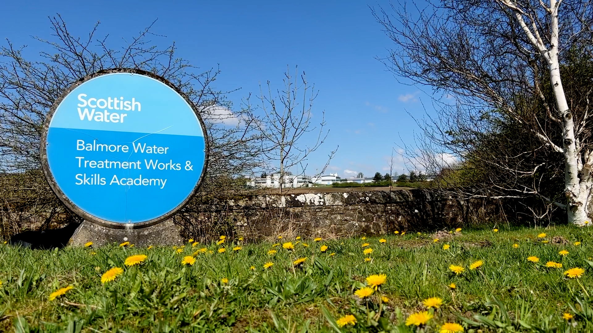 Video: Giant solar project switched on in East Dunbartonshire