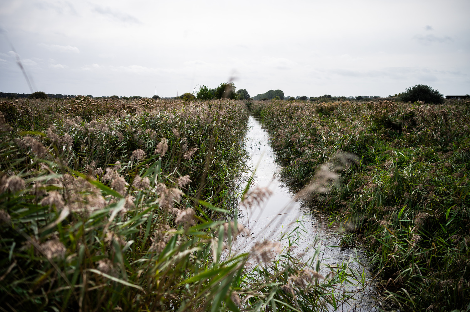 Morgan Sindall lays Groundwork for biodiversity partnership