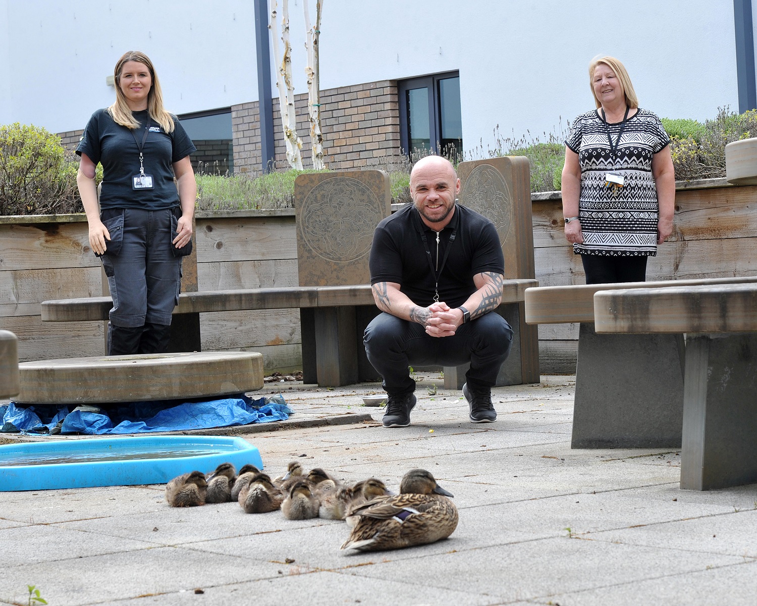 And finally... Hospital team steps in to give stranded ducklings a new home
