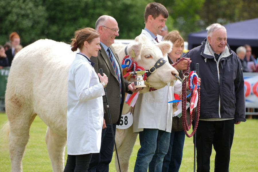 Persimmon shows support for Fife Show