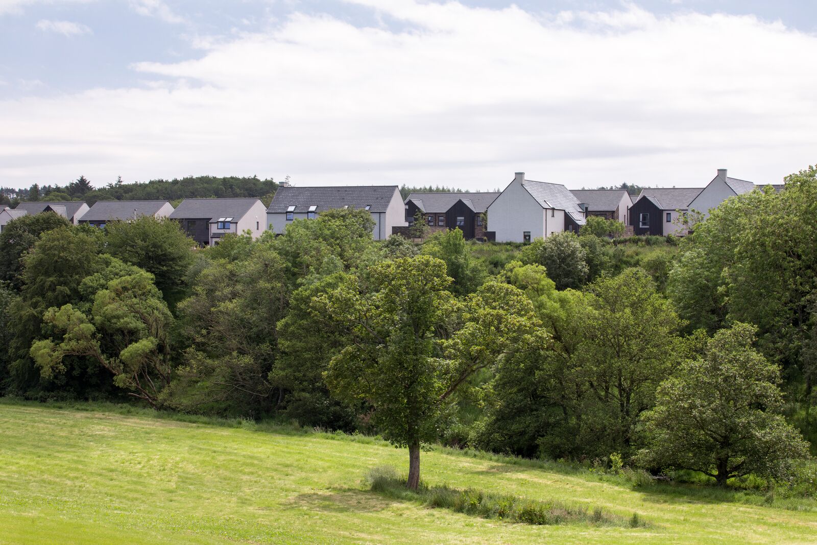 Stewart Milne scoops national award for Stonehaven homes