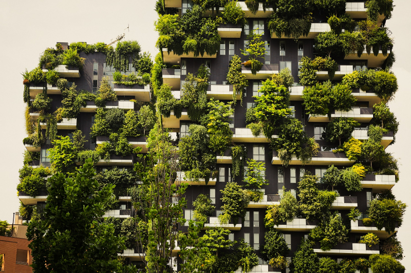 Guide to Sustainability in the Built Environment published by CIOB