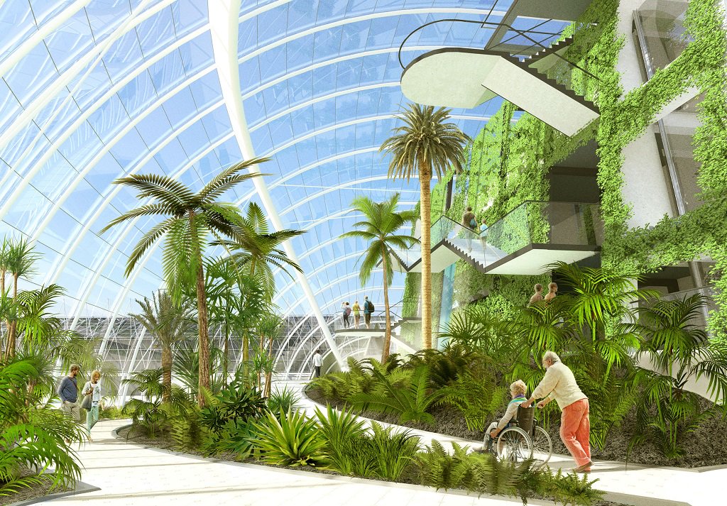 Edinburgh’s botanic garden transformation submitted for planning