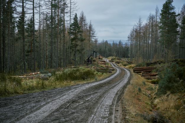 Scottish IoT project aims to consign rocky rural roads to history