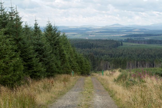 Scottish IoT project aims to consign rocky rural roads to history