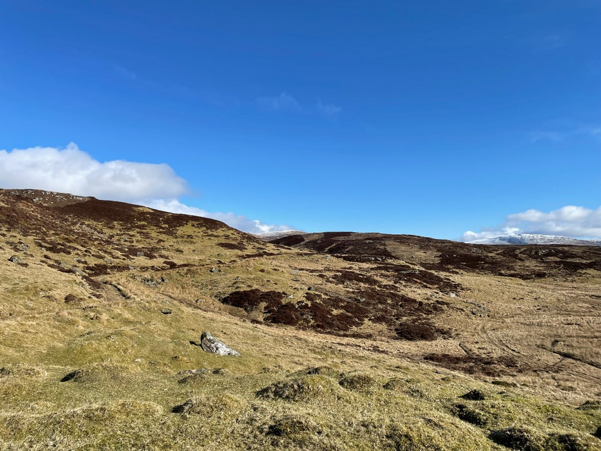 Low Carbon submits plans for 180 MW of Scottish onshore wind projects