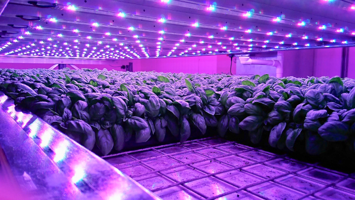Deal completed to build Scotland’s first commercial vertical farm
