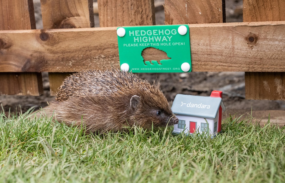 Housebuilder offers prickly protection at Eskbank development