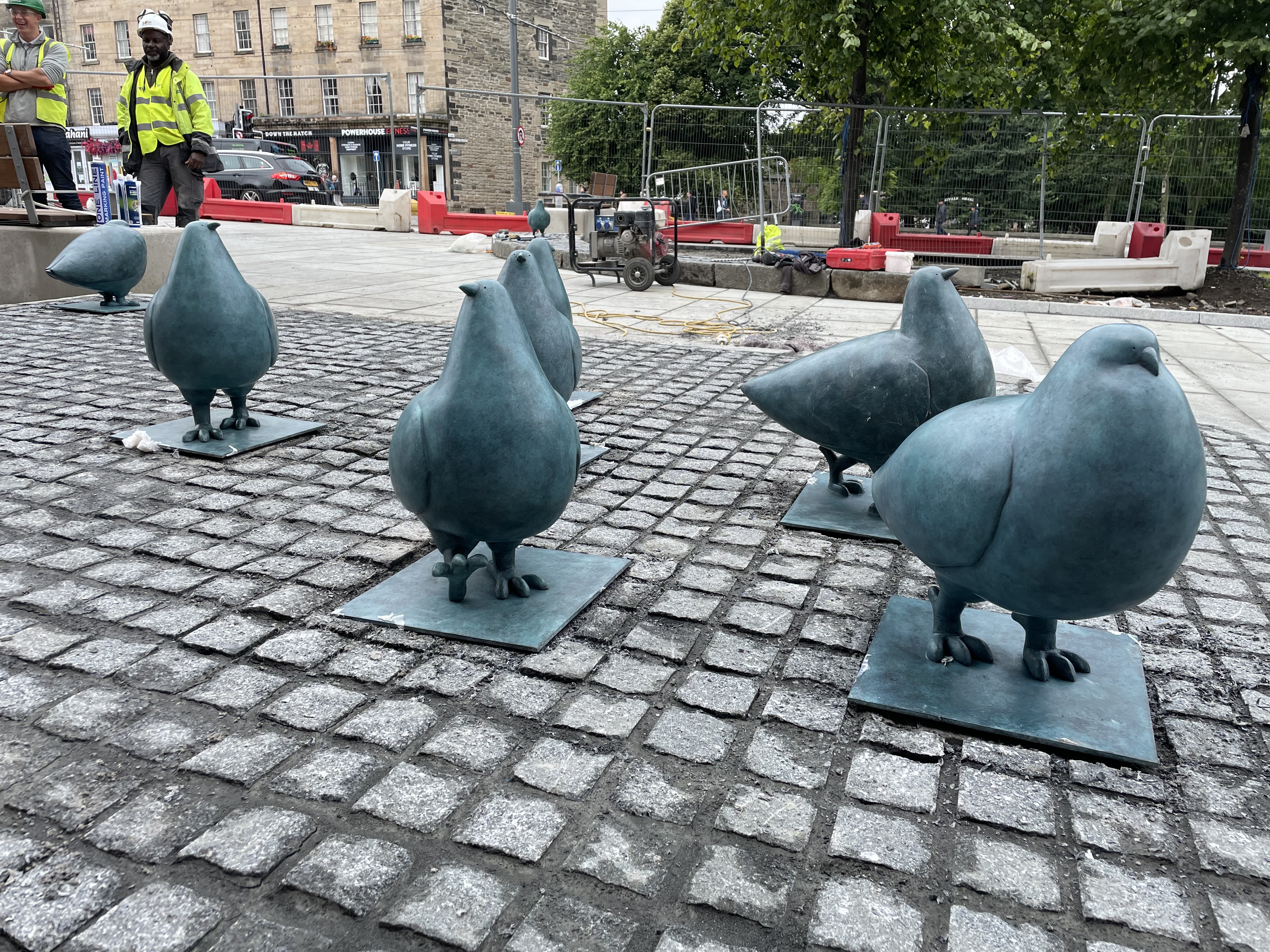 And finally... Elm Row pigeons fly home for good