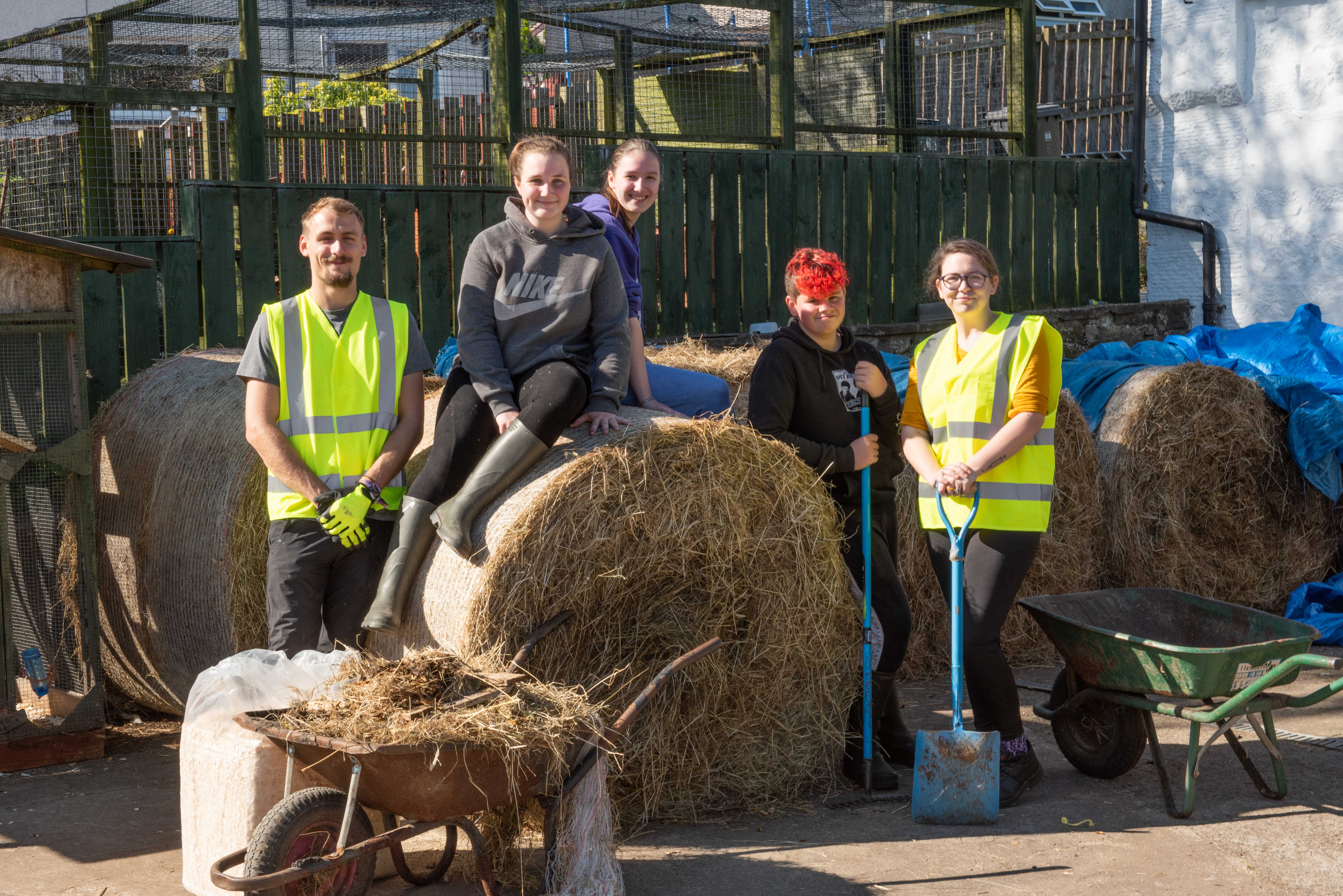 Lamont City Farm gets a helping hand thanks to hub West Scotland