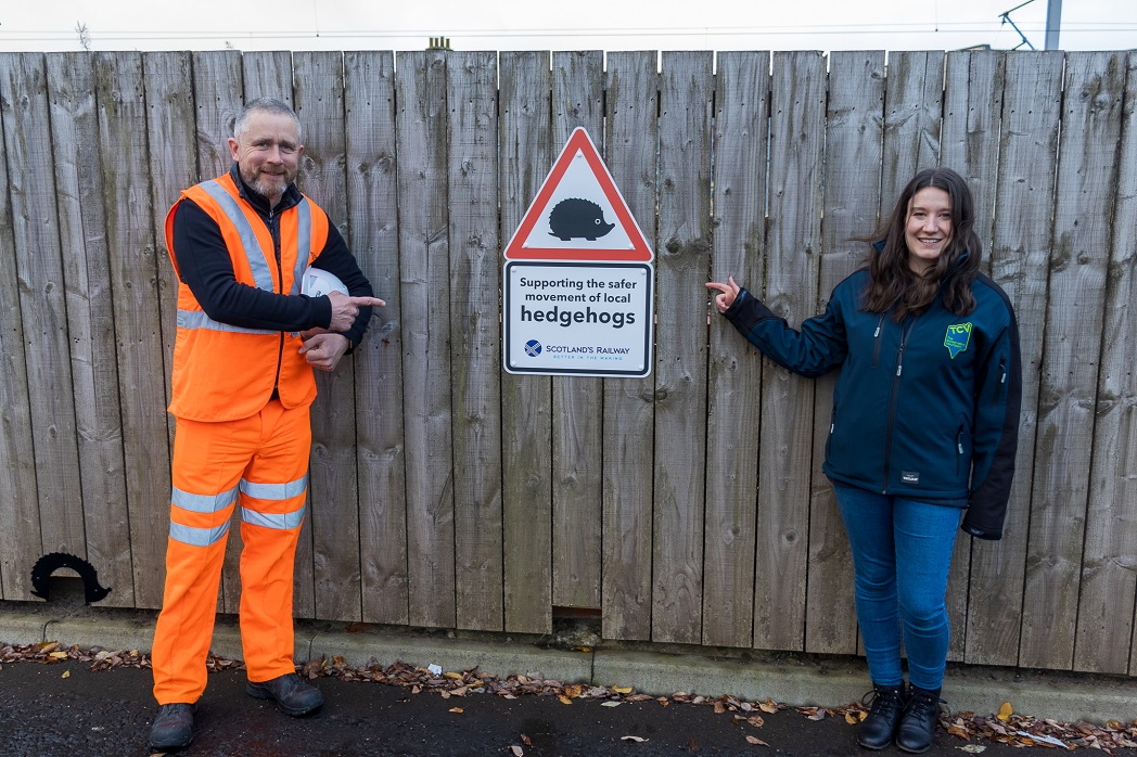 And finally... Hedgehog highway solves prickly issue at Lanark station