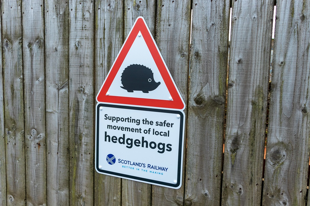 And finally... Hedgehog highway solves prickly issue at Lanark station