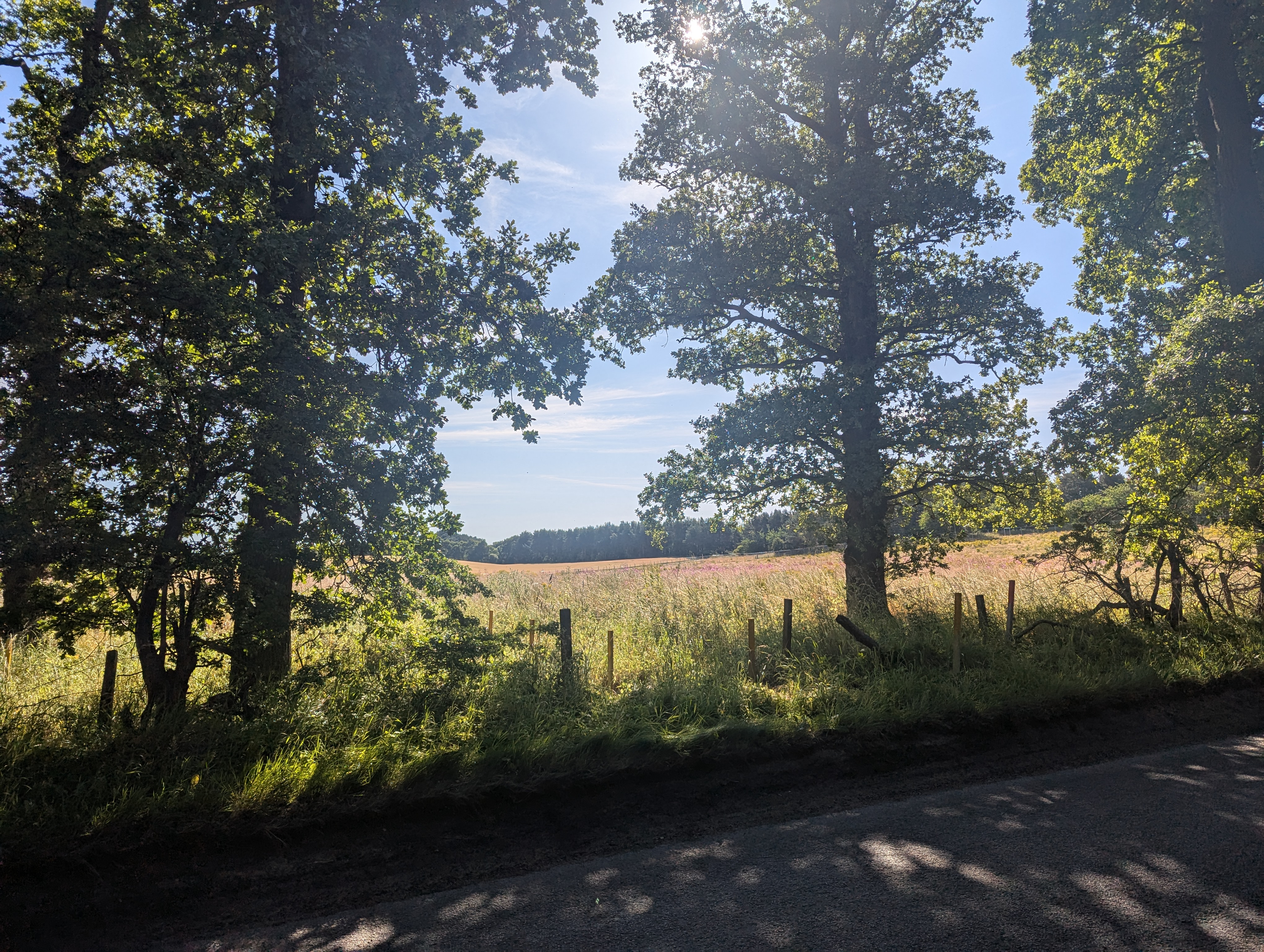 Construction begins on Elgin’s new cemetery