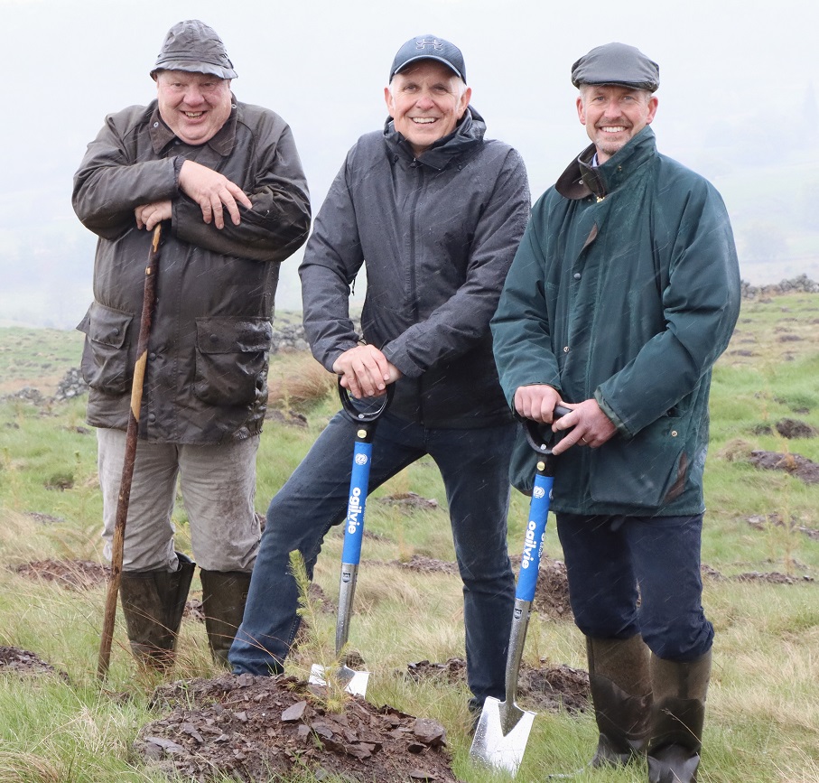 Ogilvie Group plants 250,000 trees in carbon capture initiative