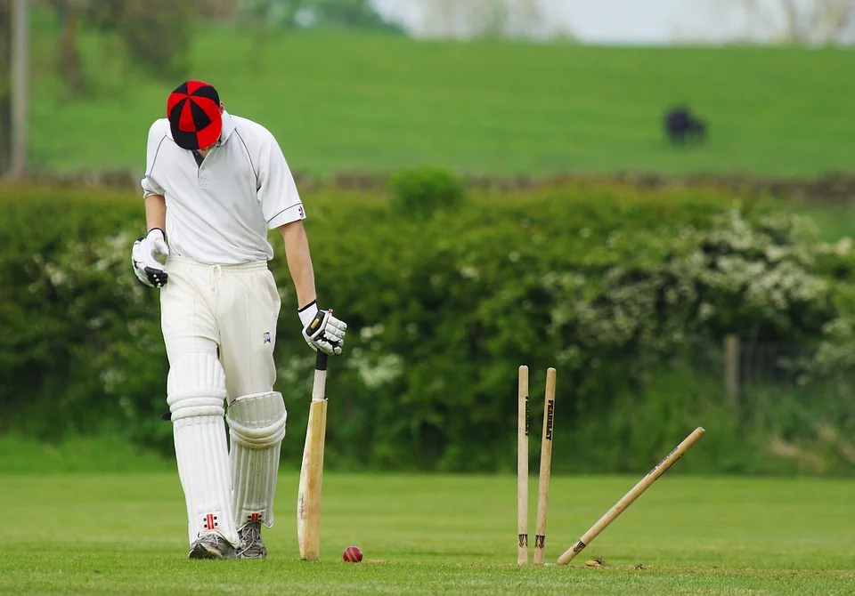 And finally... Construction workers help retrieve cricket ball after huge six in T20 Blast