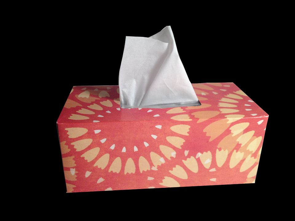 And finally… tissue box miniature building