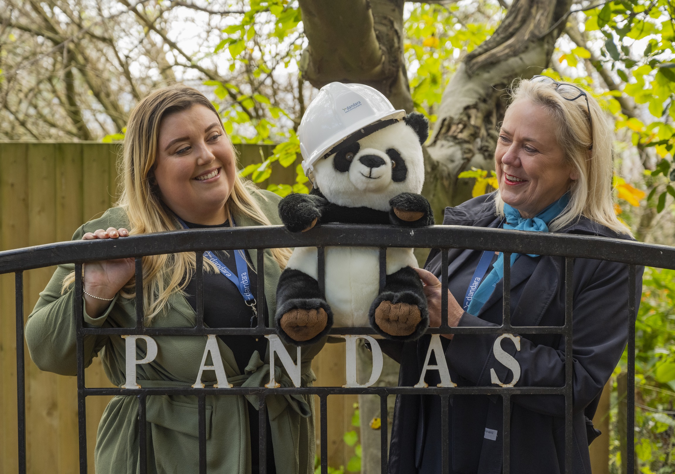 Dandara goes wild with giant panda sponsorship