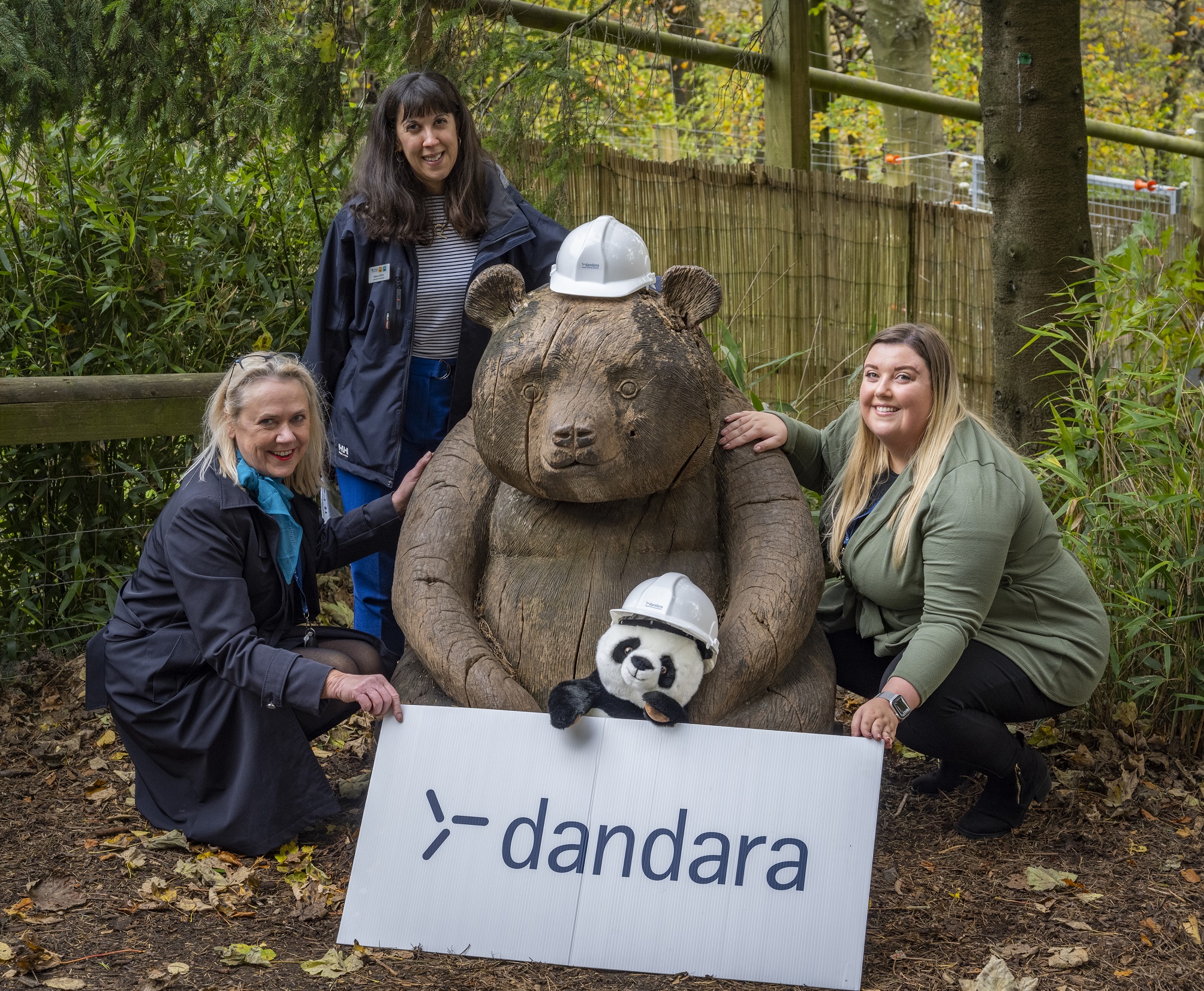 Dandara goes wild with giant panda sponsorship