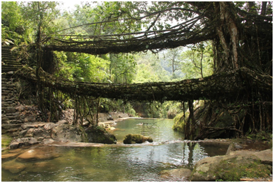 And finally... One-of-a-kind bridges around the world