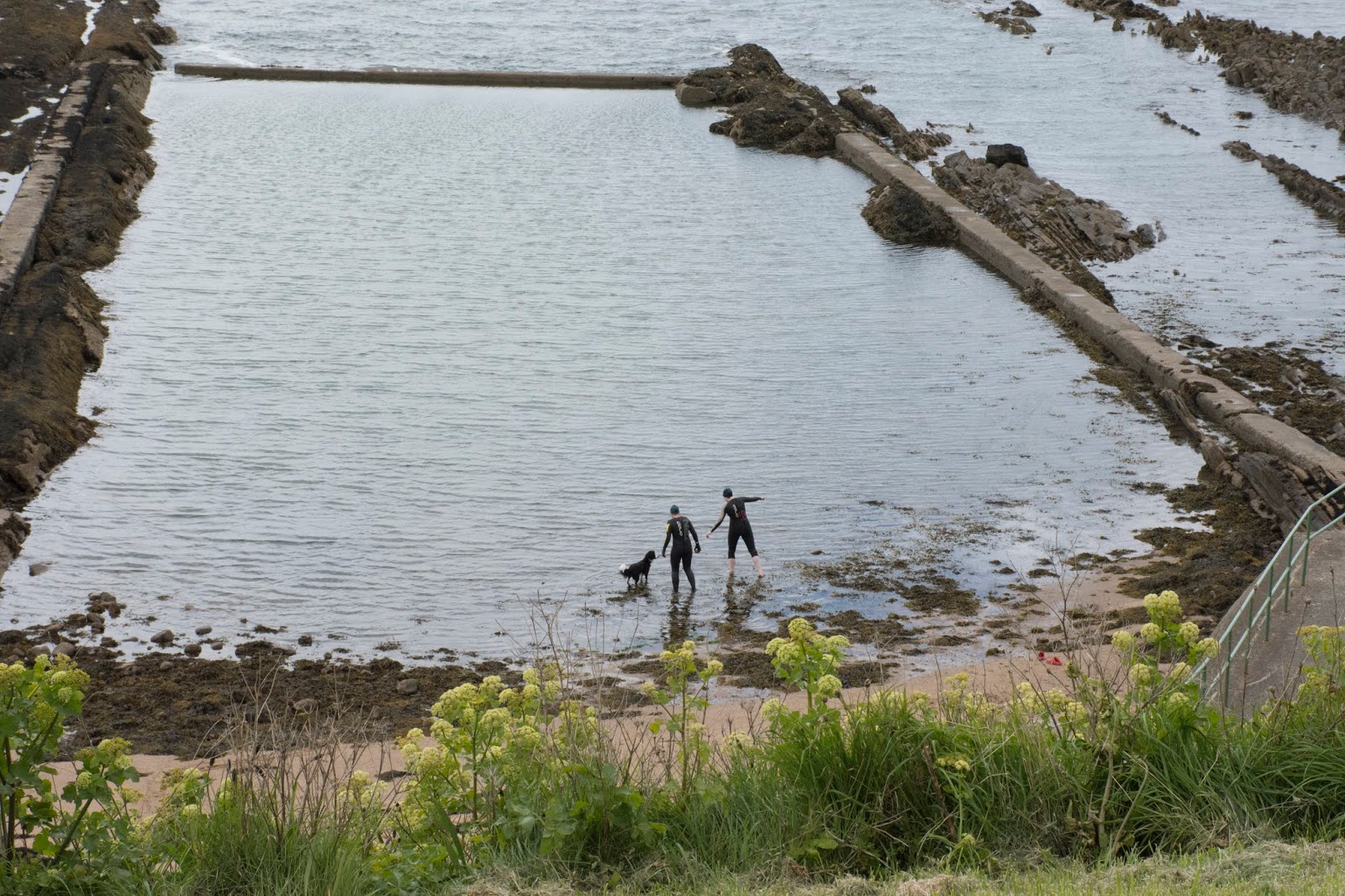 And finally... Architecture students to create designs linked to Pittenweem tidal pool restoration