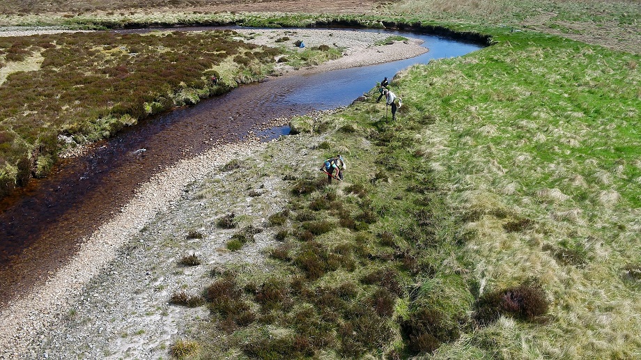 Network Rail supply chain plant seeds of sustainability at Highland reserve