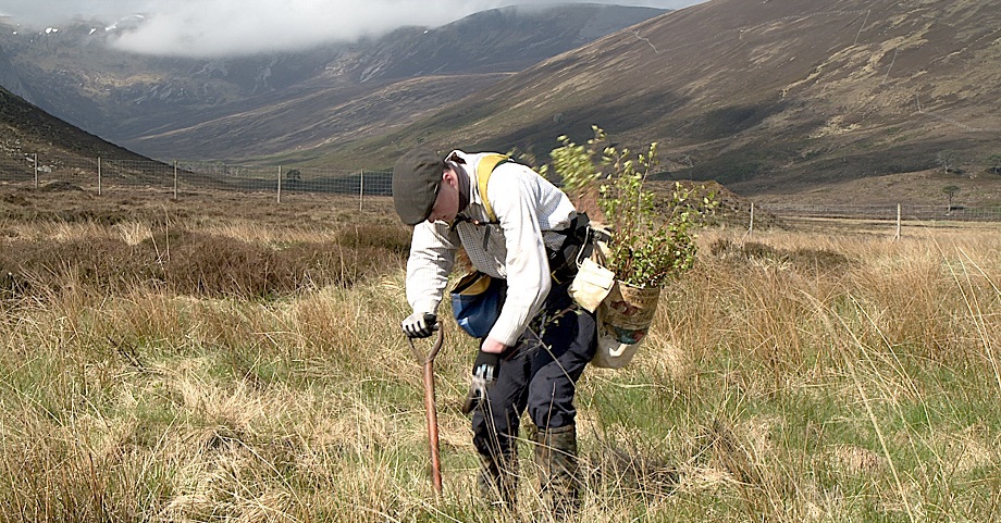 Network Rail supply chain plant seeds of sustainability at Highland reserve